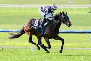 CENSORI BOUNCES BACK WITH COMMANDING WIN